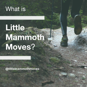 What is Little mammoth moves